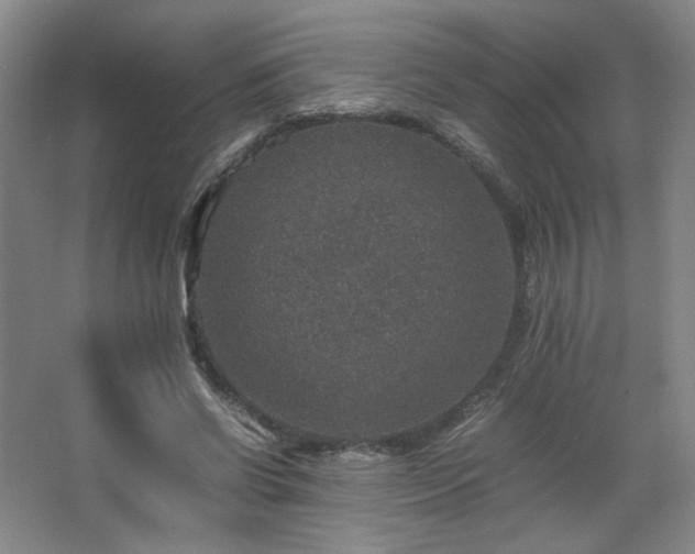 X0000067460542200604071131