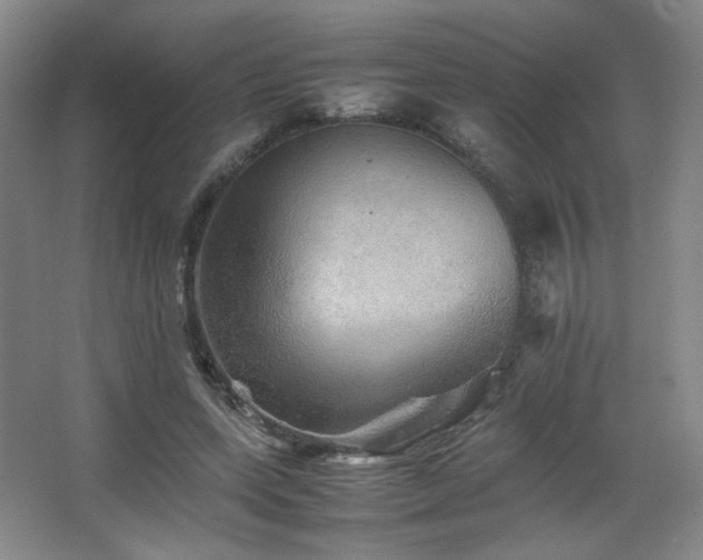 X0000067460543200604071131