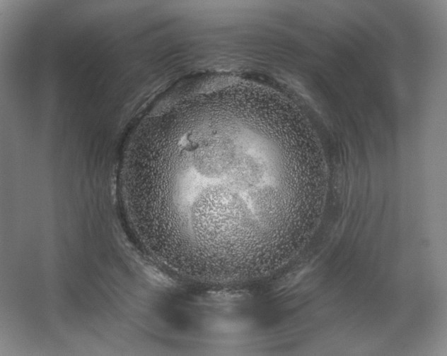 X0000067460545200604071131