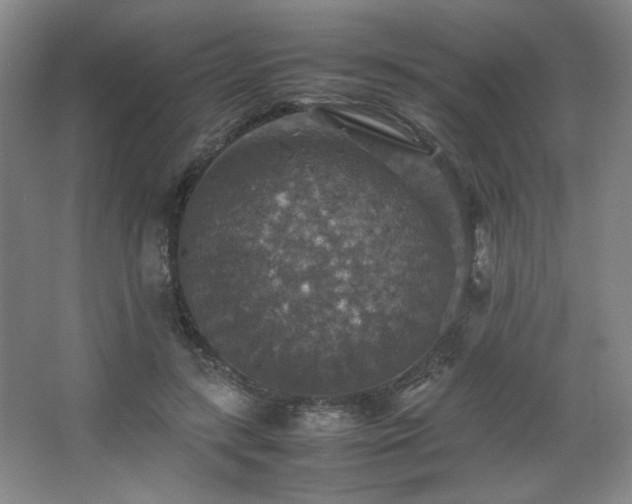 X0000067460547200604071131