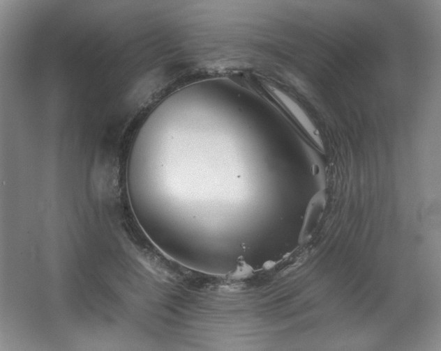 X0000067460548200604071131