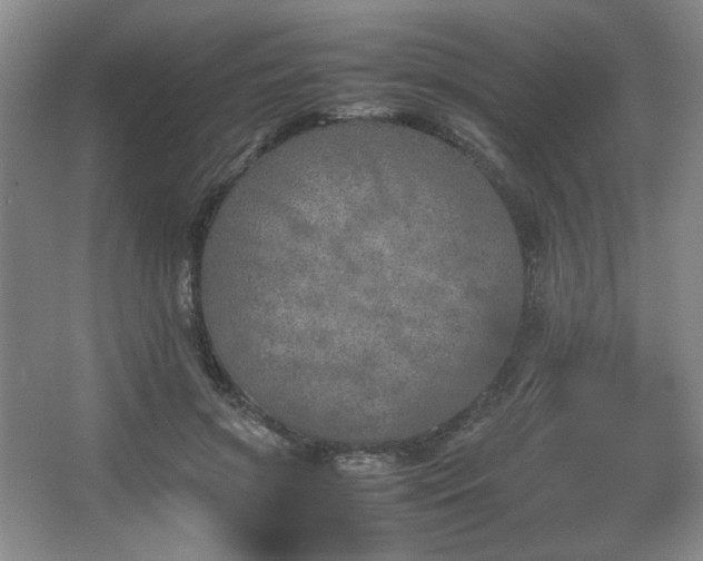 X0000067460549200604071131