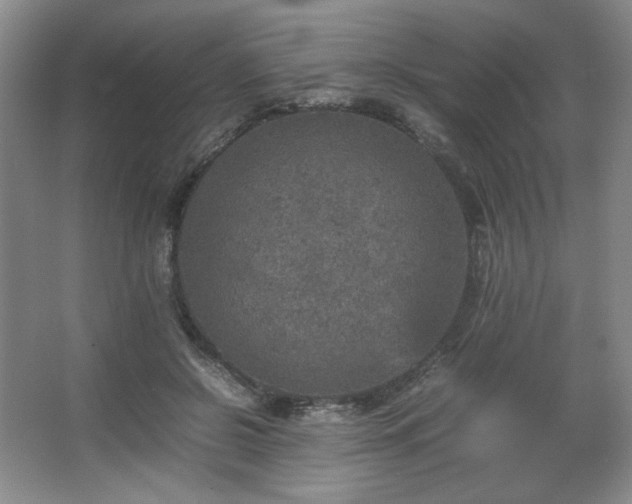 X0000067460550200604071131