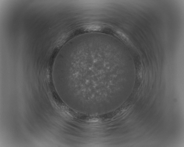 X0000067460551200604071131