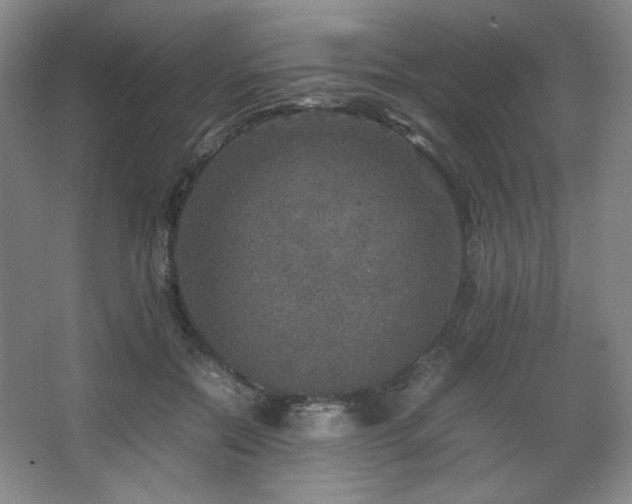 X0000067460554200604071131