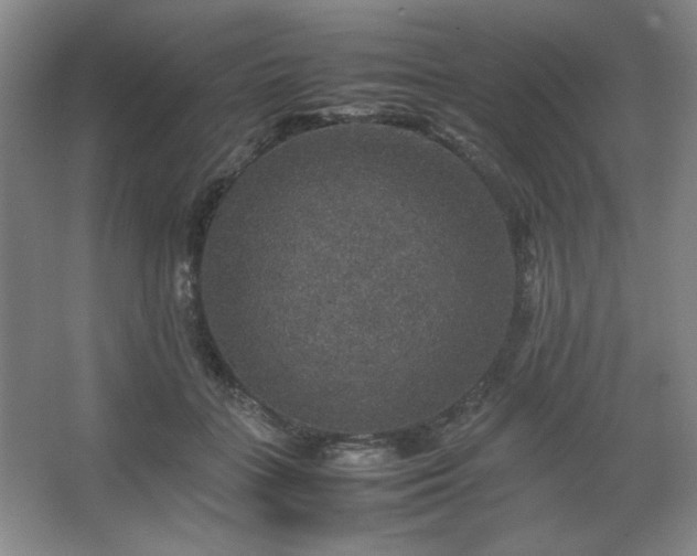 X0000067460555200604071131