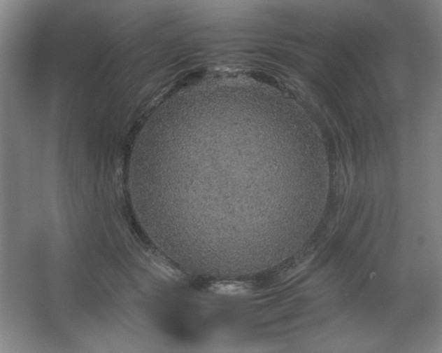 X0000067460557200604071131