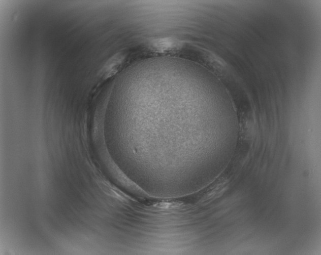 X0000067460558200604071131