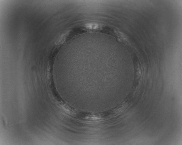 X0000067460559200604071131