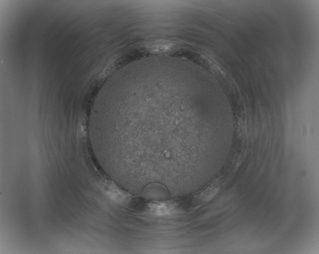 X0000067460561200604071131