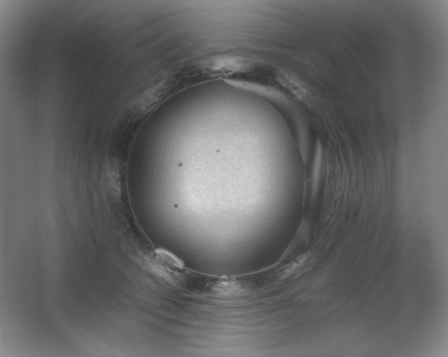 X0000067460562200604071131