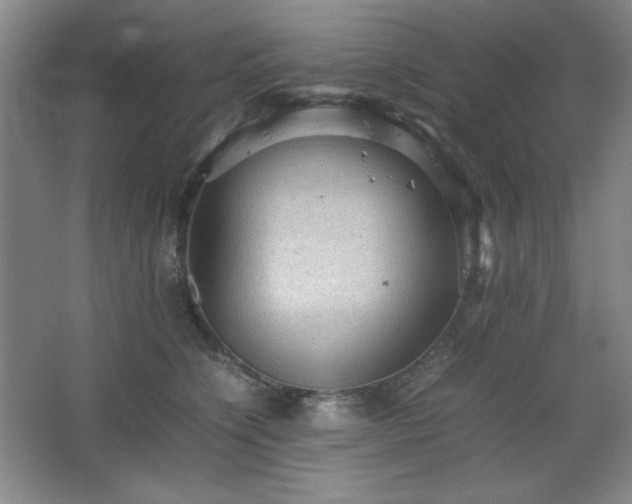 X0000067460564200604071131