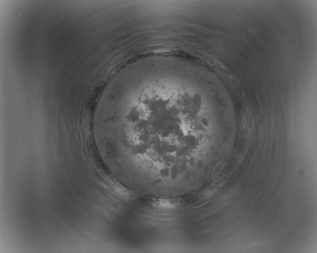 X0000067460565200604071131