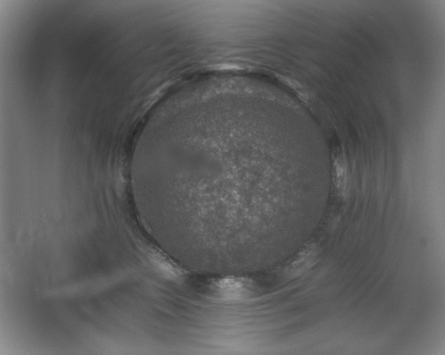 X0000067460566200604071131