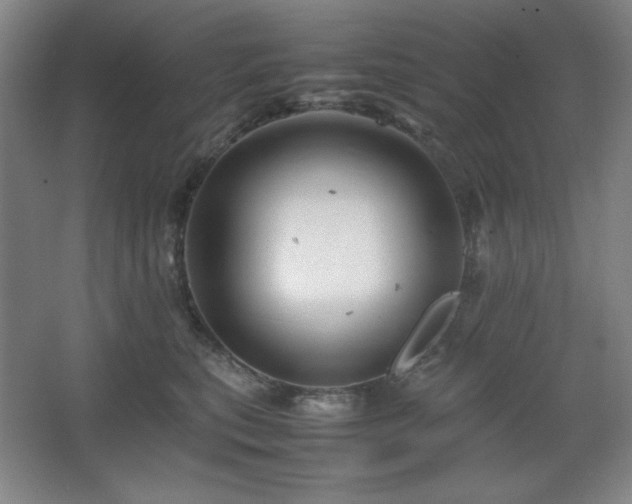 X0000067460567200604071131