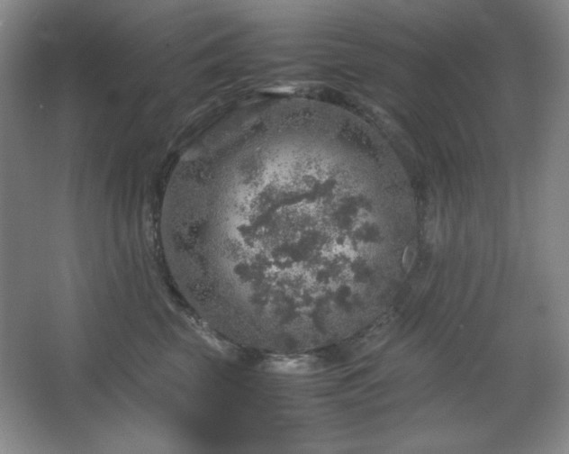 X0000067460569200604071131