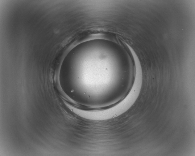 X0000067460570200604071131