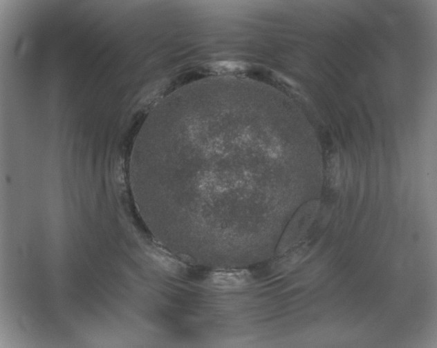 X0000067460571200604071131