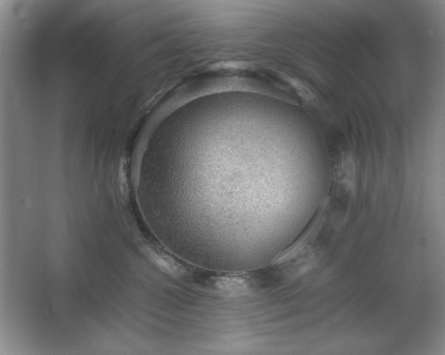 X0000067460572200604071131