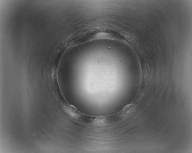 X0000067460574200604071131