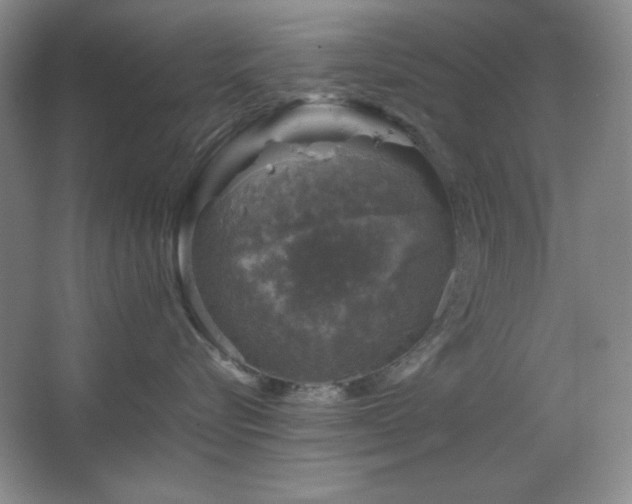 X0000067460576200604071131