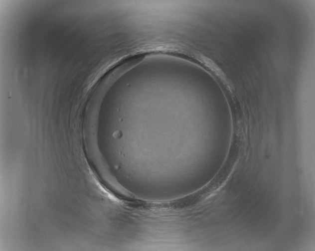 X0000067460577200604071130