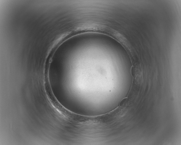 X0000067460578200604071130