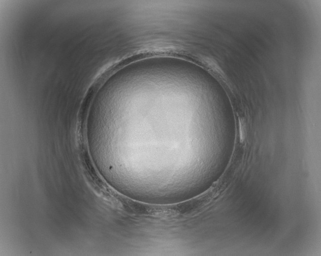 X0000067460579200604071130