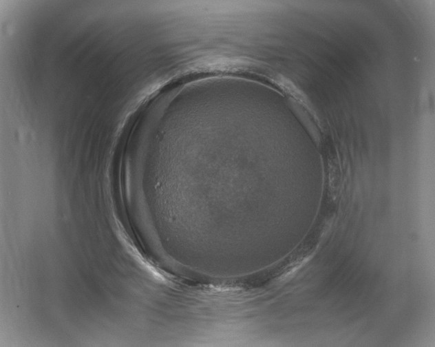 X0000067460581200604071130