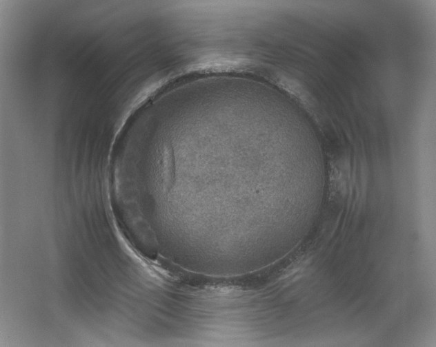 X0000067460582200604071130