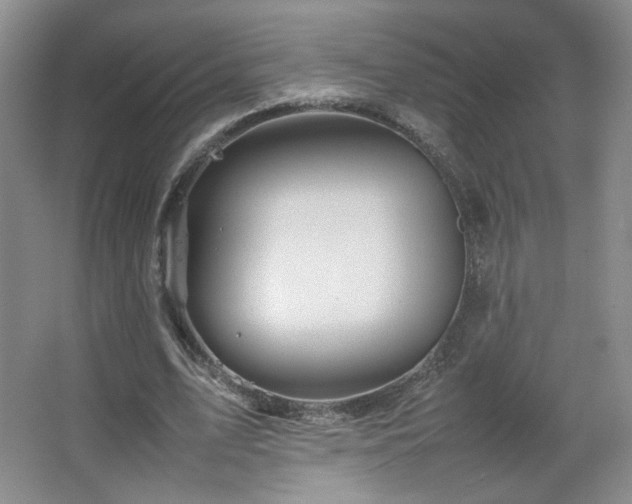 X0000067460583200604071130