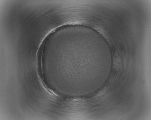 X0000067460584200604071130