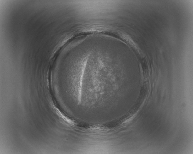 X0000067460585200604071130