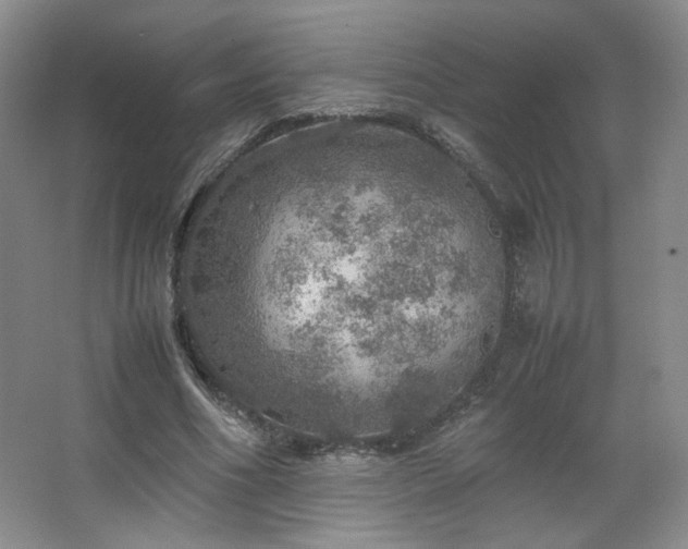 X0000067460586200604071130