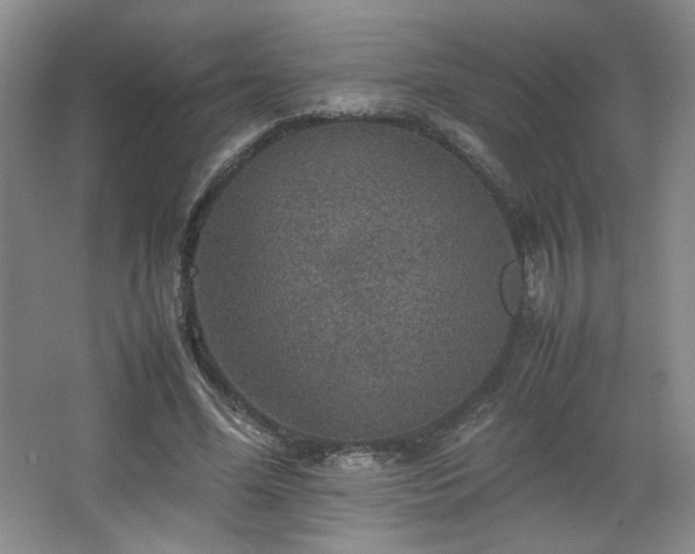 X0000067460588200604071130