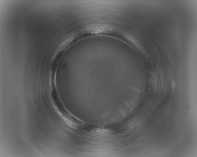 X0000067460590200604071130