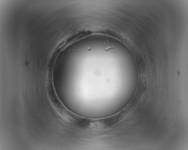 X0000067460591200604071130