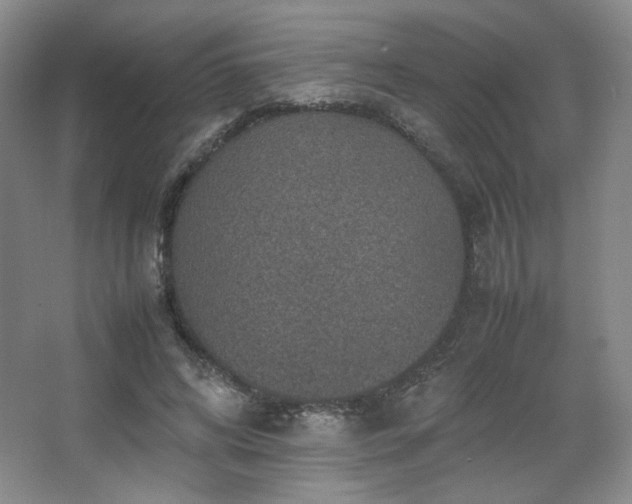 X0000067460592200604071130