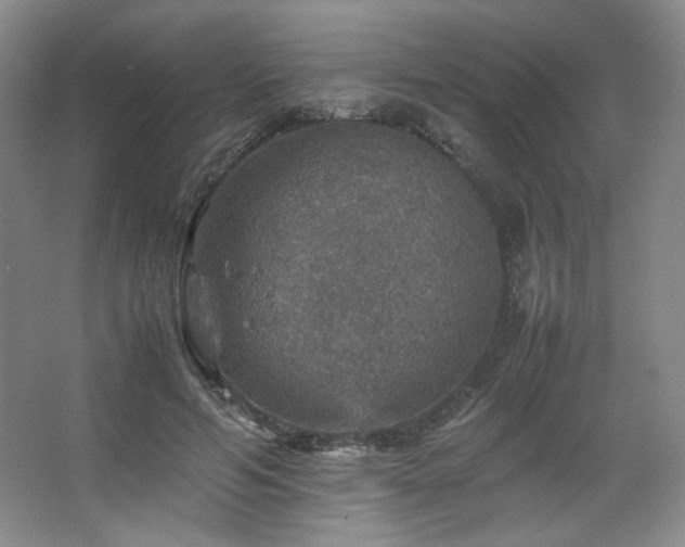 X0000067460594200604071130