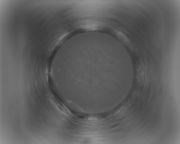 X0000067460596200604071130