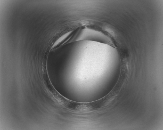 X0000067460597200604071130