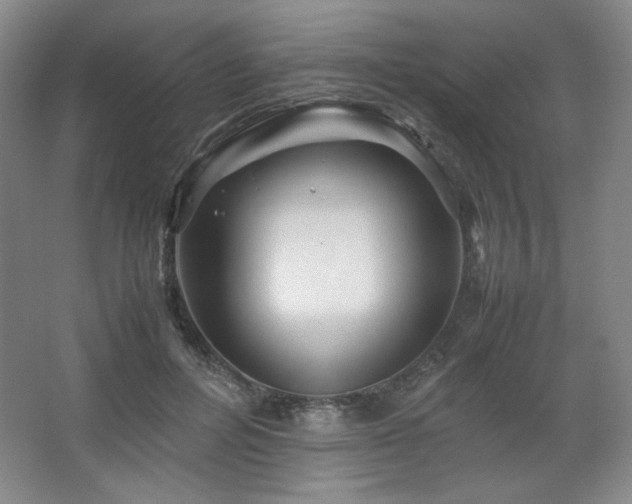 X0000067460600200604071130