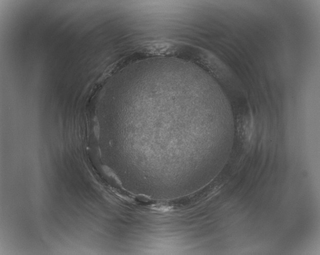 X0000067460602200604071130