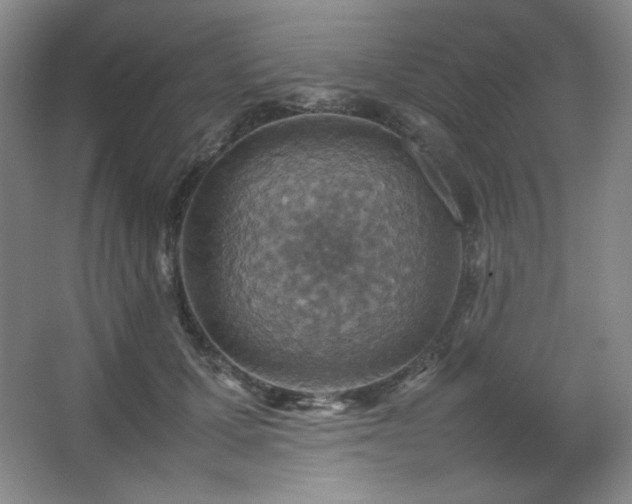 X0000067460607200604071130