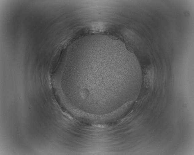 X0000067460608200604071130