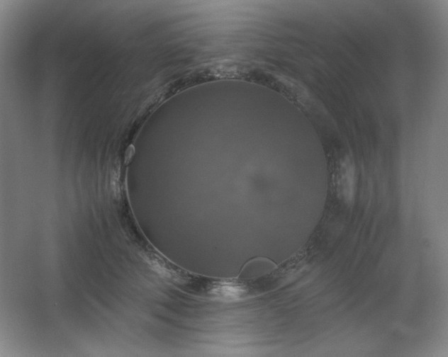 X0000067460610200604071130