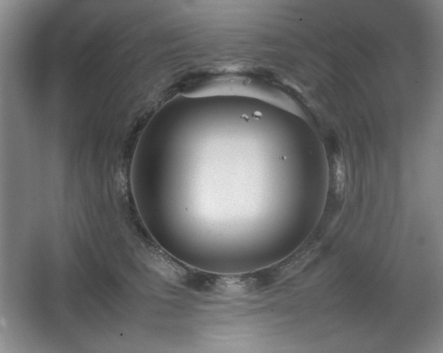 X0000067460613200604071130