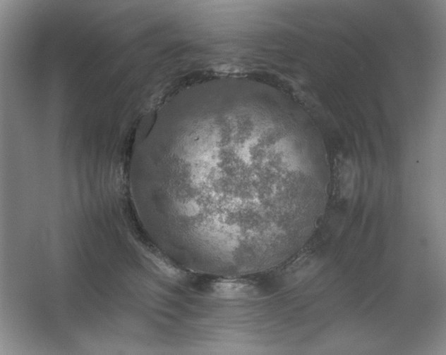 X0000067460614200604071130