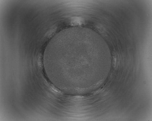 X0000067460616200604071130