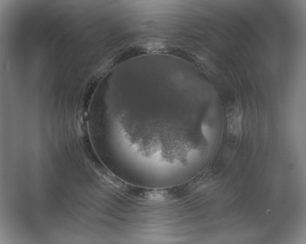 X0000067460618200604071130